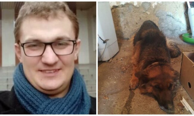 "Пустили тузика з молотка": українці, які заборгували за комуналку, розплачуються собаками, Брагар радіє