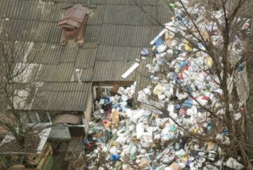"Собирала годами": украинка превратила двор в громадную свалку, кадры масштабного бедствия