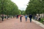 Будет почти лето: дожди и грозы сменятся жарой в Украине, названа дата