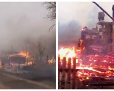 Ліси і житлові будинки знищені, пожежі в Україні не вщухають: нові кадри з епіцентру лиха