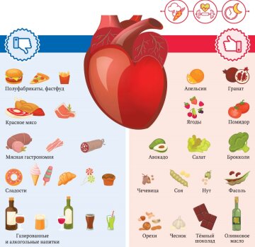 здоровье сердца, полезная еда, вредная еда