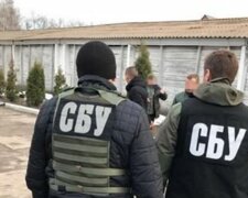 Мешканці Івано-Франківська загрожує 8 років в'язниці: що СБУ знайшла у її комп'ютері, фото