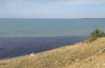 Оккупанты в Крыму слили опасные отходы в море, никому нет дела: вопиющие кадры