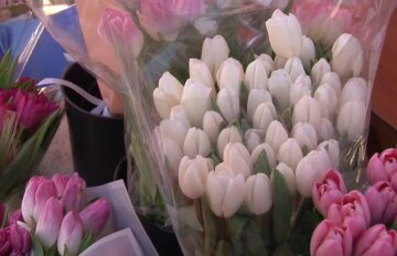 Подорожчання квітів в Запоріжжі, 8 березня