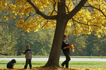 осень, тепло