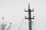 Графики отключения света в Полтавской области на 11 марта