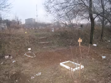 Гектари кладовища всіяли сільськогосподарськими культурами: подробиці непорозуміння на Полтавщині