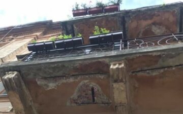 Сотні нічних хижаків оселилися на харківському балконі: моторошні фото з місця