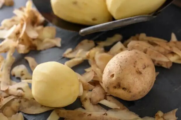  ����������� ��������� ���-3 �������� ������ ��������� 