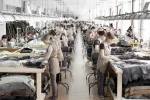 Нардеп:  Президент не допустит уничтожения норковых ферм
