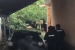 "Не поділили спадок": брати до смерті забили третього після похорону матері