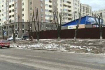 В Одессе варварски уничтожили два десятка деревьев ради супермаркета: кадры беспредела