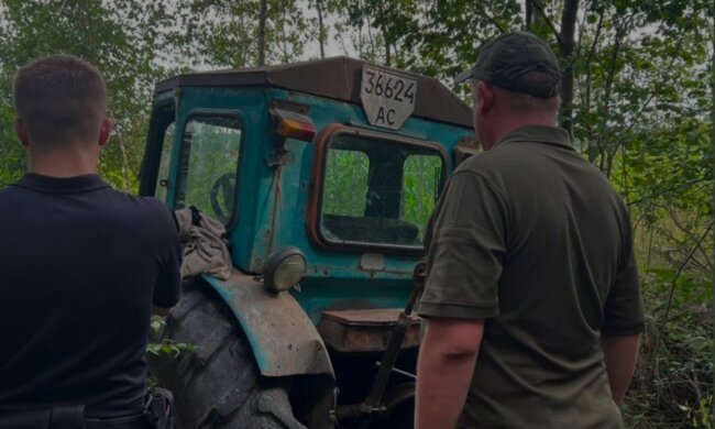 Загрязнили лес древесными опилками и мусором: госбюджет пополнился на 1,6 миллиона гривен после суда с «Лесами Украины»