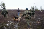 пограничники
