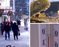 Заморозки і сильний вітер обрушаться на Одещину: дата, коли сильно похолодає