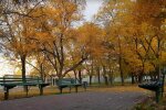 Прогноз погоды на неделю с 6 по 12 октября в Одессе.