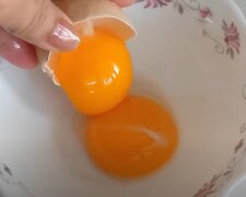 яйця