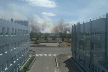 Это не поджог сухой травы: в ГосЧС рассказали о версии пожара в Чернобыльской зоне