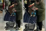 Карантин діє для всіх: українка начепила маску на собаку, відео