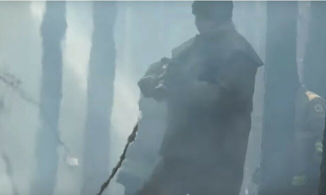 Чоловік знищив 5 гектарів лісу заради забави: кадри подій на Київщині