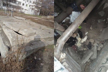 Цуценята стали заручниками бетонних плит у Дніпрі: кинуті сили на порятунок, фото