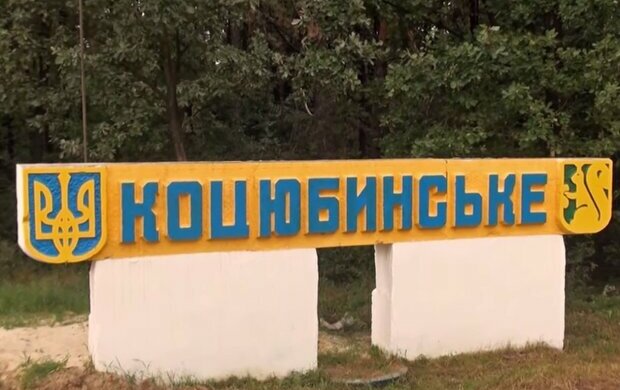 Скандал у Коцюбинському: неадекват побив волонтерку (фото)
