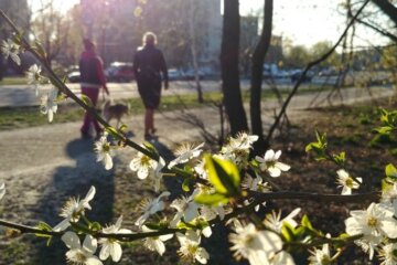 Трьох знаків Зодіаку побалує доля в квітні: на кого чекає везіння