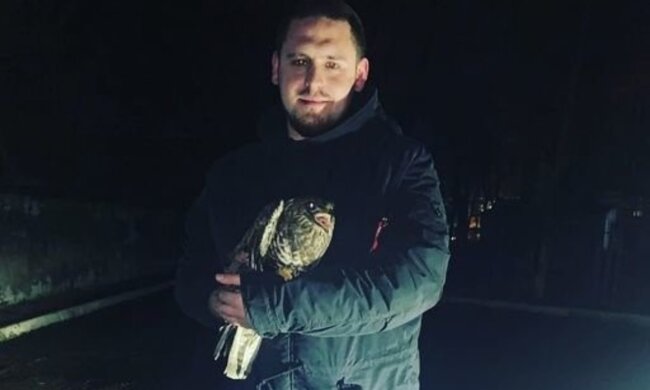 "Подобрал и принес зоопарк": неравнодушный одессит совершил героический поступок, фото и детали