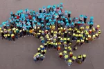 Украина украинцы
