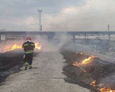 Пожар, Луганская область