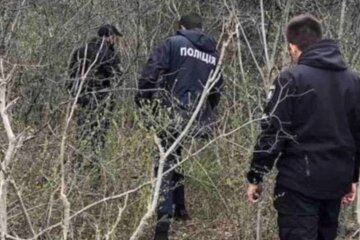 полиция, полиция Украины