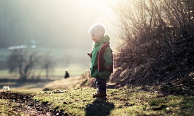 зима, весна, осень, солнце, погода