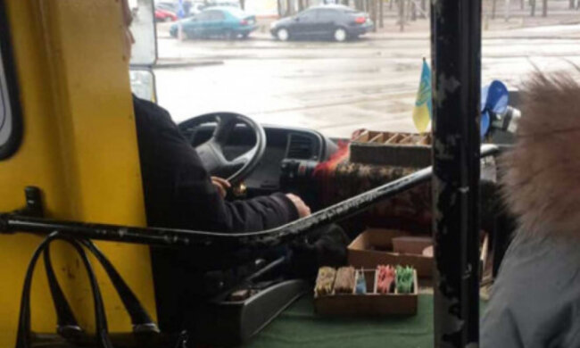 "Виросло прям на вікні": в мережі показали мерзенну знахідку у дніпровській маршрутці