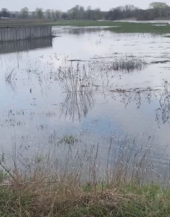 JwbC8NFQ2DU2A3rrp5yeBqD5wRgQA8rjwd7aHNx9