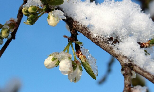 Погода на 2 апреля