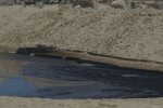 Виток нефтепродуктов в Черном море вблизи Новороссийска: что известно и реакция Правительства