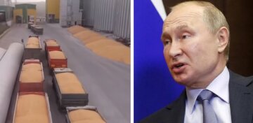 "Це створює небезпечний прецедент": в росії придумали схему, як продавати вкрадене українське зерно