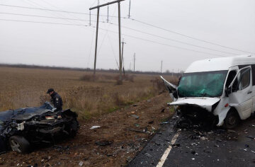 Моторошна ДТП з мікроавтобусом на українській трасі: багато жертв, кадри