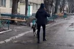 Домашний тиран отправил жительницу Одесчины  замерзать на мороз, досталось также полицейскому: видео с места