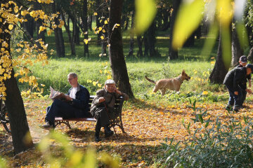 погода, осень