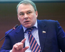 "Государства-инвалиды": депутат госдумы поведал, как РФ "вскормила" Украину и Грузию