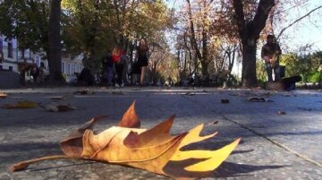 В Одесі прийшов травень в середині осені, кадри аномалії