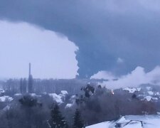 "Тушат десятки человек": под Киевом пылает масштабный пожар