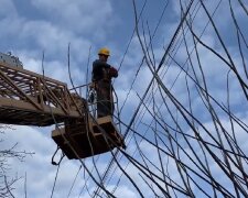 Графіки відключення світла в Одеській області на 11 грудня