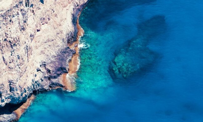 Хищник утащил под воду ребенка на глазах очевидцев (видео)