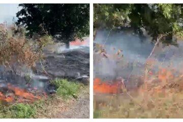 "Создаёт большую проблему": в Харьковской области вспыхнул масштабный пожар