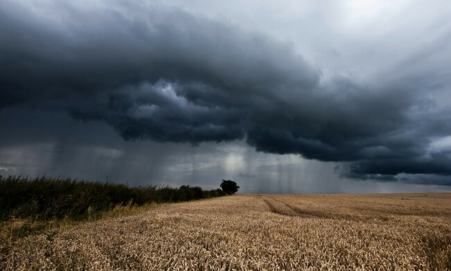 В городе потоп, плавают машины: погодный удар накрыл украинский курорт, кадры «конца света»