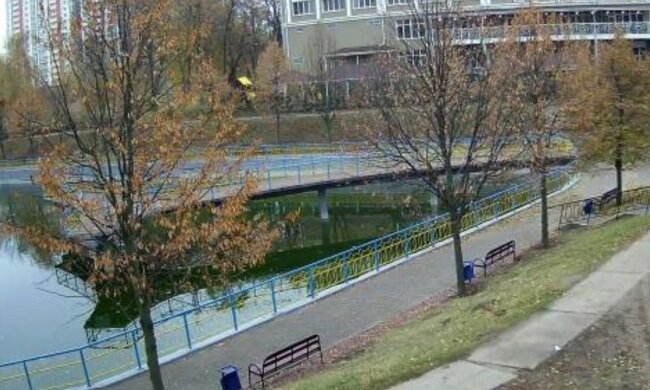 Вандали влаштували погром небувалий в київських парках на карантині: фото наслідків