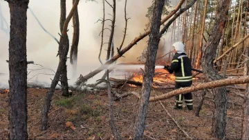 Пожежі на Луганщині виникли через умисні підпали