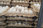 Подорожчання продуктів